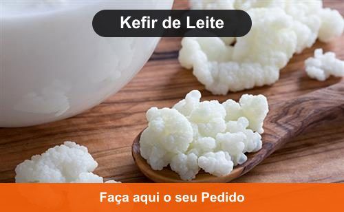 Kefir de Leite - Doação de Kefir em Almeirim - PA
