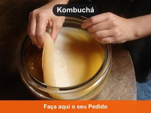Kombuchá - Doação de Kefir em Almeirim - PA